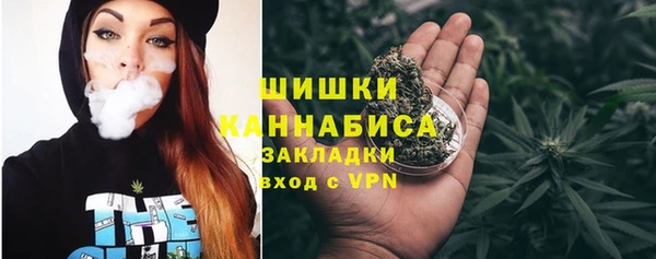 молекула духа Бородино