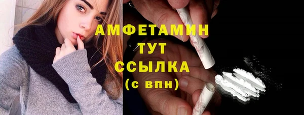 молекула духа Бородино