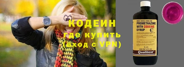 молекула духа Бородино