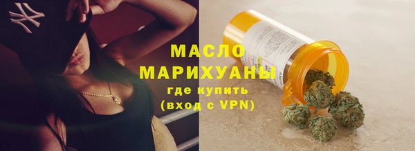молекула духа Бородино