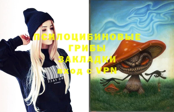 молекула духа Бородино