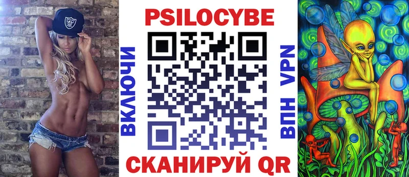 Галлюциногенные грибы Psilocybe продажа наркотиков ссылка на мегу зеркало Тбилисская