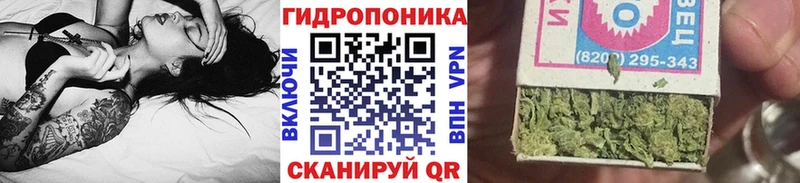 Шишки марихуана MAZAR  купить наркотики сайты  Тбилисская 